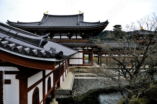 日本、京都、平等院、佛寺、寺院、文化財、木造建築、古代建築、日本文化、歷史名勝、文化財、木、綠色、青空、写真素材