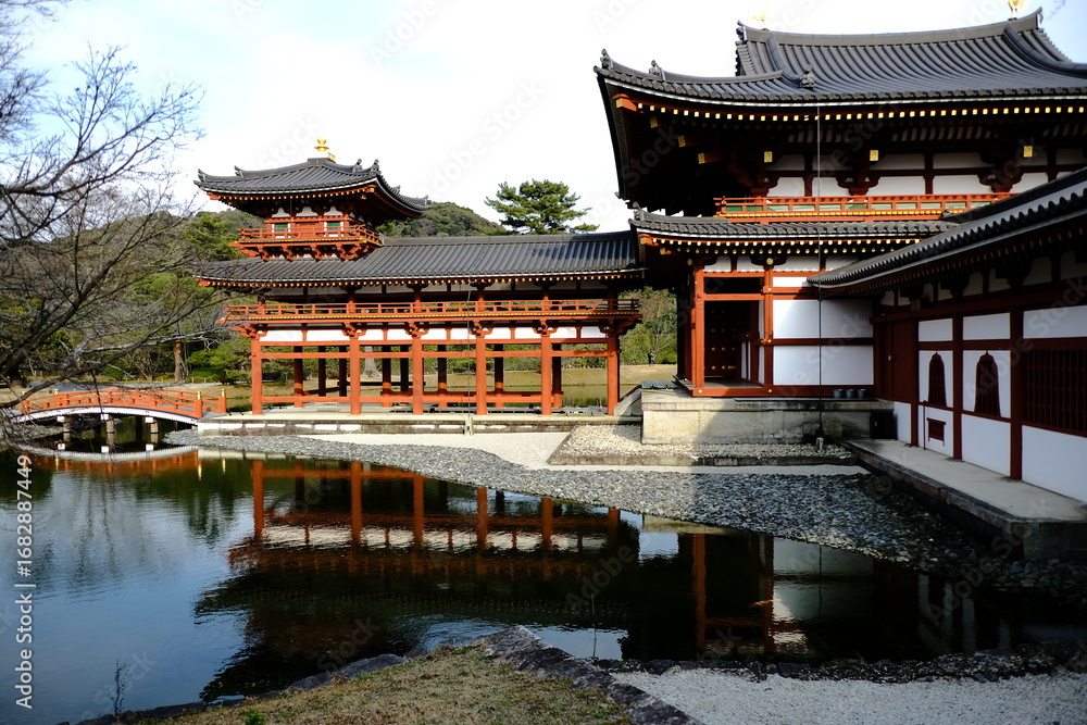 Naklejka premium 日本、京都、平等院、佛寺、寺院、文化財、木造建築、古代建築、日本文化、歷史名勝、文化財、木、綠色、青空、写真素材