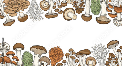 A charming assortment of edible fungi showcasing diverse textures and shapes