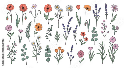 Collection of delicate hand drawn wildflowers and lavender sprigs for artistic botanical designs