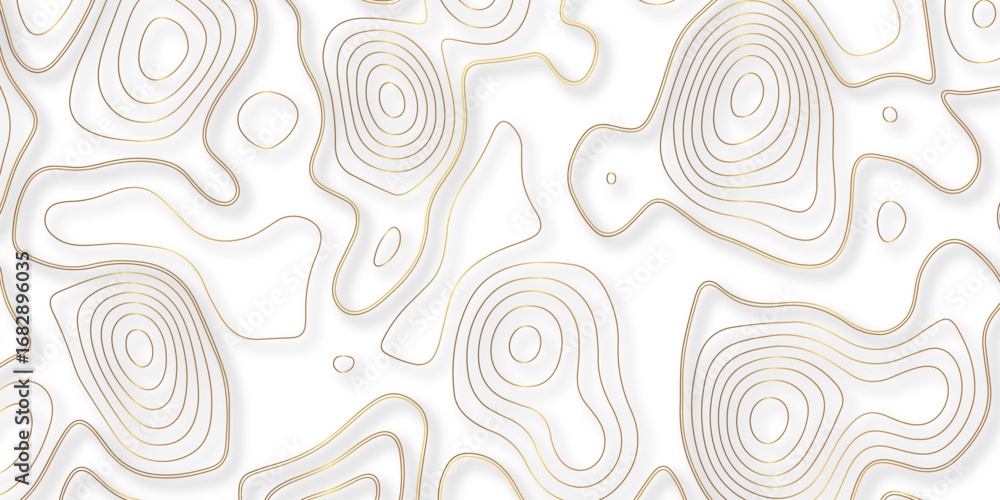 Fototapeta premium Abstract white golden gradient Topographic line map pattern background. Contour elevation topographic and textured Background Modern design with White background with topographic wavy patte. 