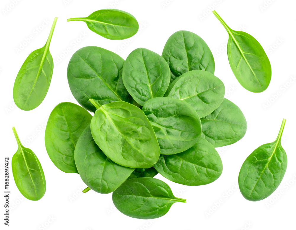 Fototapeta premium Spinach leaves isolated on white background. Baby Spinach leaf Flat lay. Top view. Espinach leaves