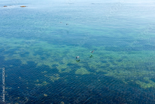 透き通った綺麗な海を見下ろす
