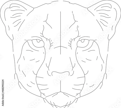 jojo (63)_vector.eps