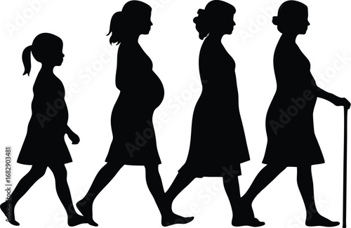 Woman Life Stages Evolution Silhouettes stock illustration