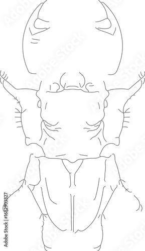 jojo (39)_vector.eps