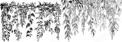The Amazon jungle features hanging ivy trees with creeping tendrils and leaves, as well as Liana vine branches and ivy creeper climbing plants