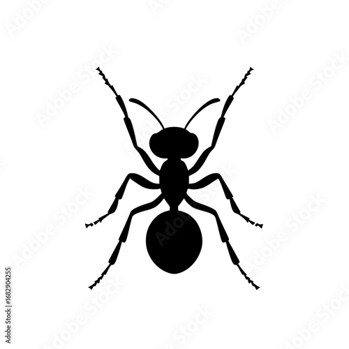 Minimalist black-and-white vector illustration of an ant representing nature and insect life