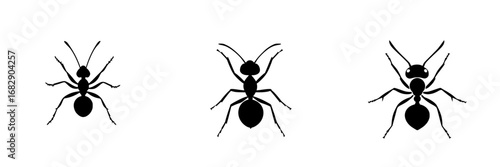 Minimalist black-and-white vector illustration featuring three distinct ant silhouettes in a simplistic style