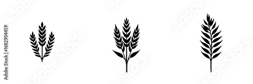 Black and white vector illustration of minimalist plant silhouettes with a simple design showing three variations of wheat