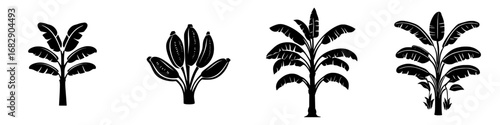 Vector illustration of various banana plants showcasing minimalist black-and-white silhouettes in a modern design