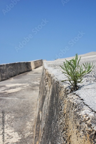 2023.06.18 Italia, Gibellina, evocative image of the 