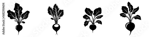 Minimalist black-and-white vector illustration of various radish silhouettes on a white background