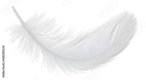 white feather with soft texture, isolated on transparent background.