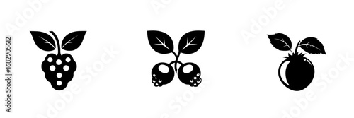 Minimalist black-and-white vector illustration of fruit silhouettes including raspberry, berry pair, and peach