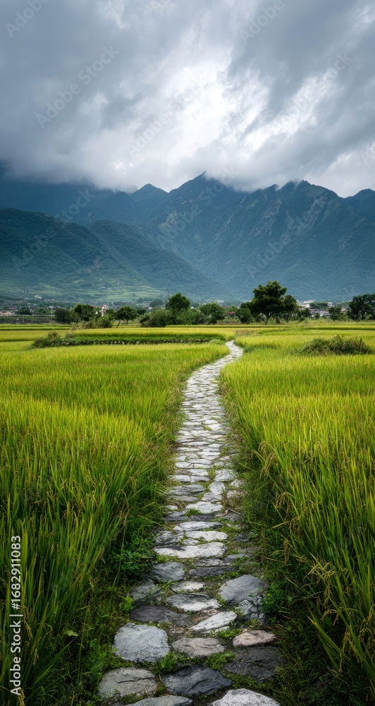 Fototapeta premium A stone path winds through a vibrant rice paddy field, leading to a backdrop of misty mountains under a cloudy sky