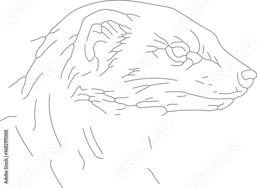 jojo (70)_vector.eps