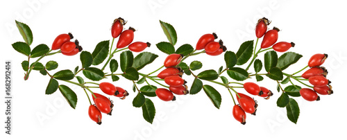 Wallpaper Mural Red berries of wild rose and green leaves n a line pattern isolated on white or transparent background. Floral arrangement. Torontodigital.ca