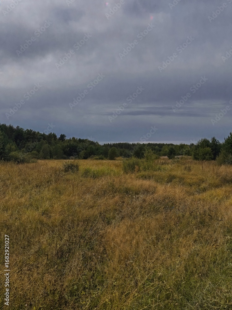Fototapeta premium Cloudy Sky Over Grassy Field
