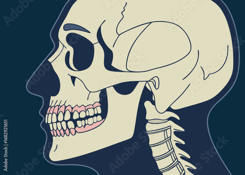 Stylized profile view of a human skull and vertebrae