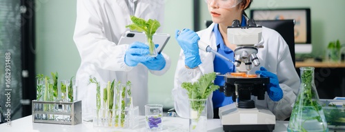 Tableau sur toile Scientist team testing food samples in lab with microscope, vegetables,  for saf