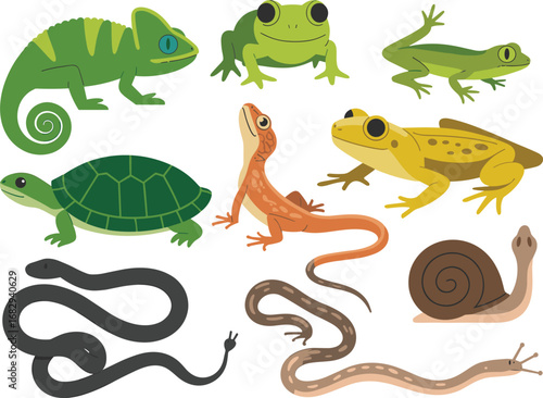 Reptile and amphibian cartoon set, cold-blooded animals, snakes, frogs, lizards, turtle, snail, chameleon, species diversity, nature icons, educational wildlife design