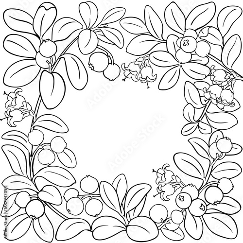 Lingonberry Branch with Flowers, Berries and Leaves Outline Frame. Organic natural nutritional healthy food ingredient, vegetarian diet product. Vector isolated for design or decoration.