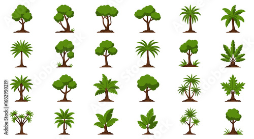 Diverse tropical trees collection on white background for botanical design
