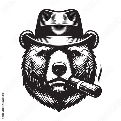 vector illustration of a bear