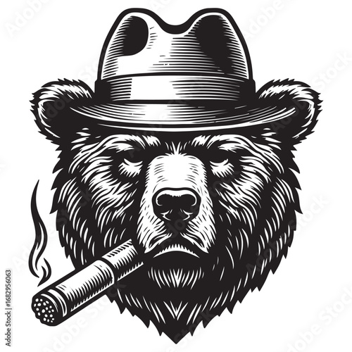 vector illustration of a bear