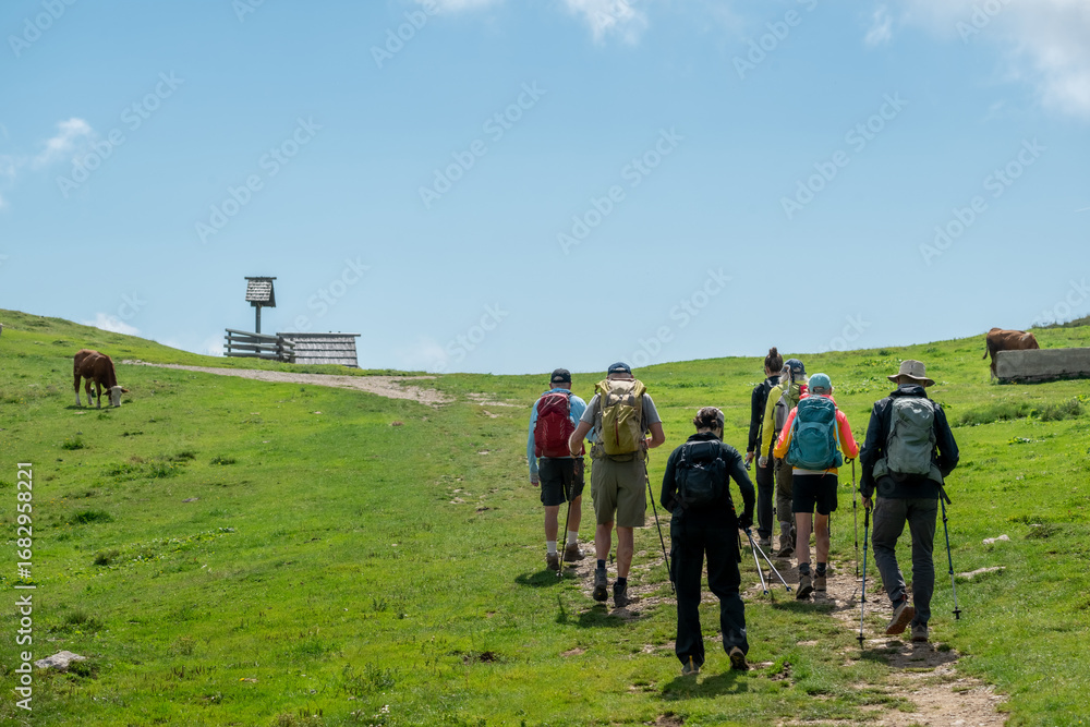Obraz premium group of hikers walks up a mountain trail on a sunny day, carrying backpacks and trekking poles, surrounded by green fields, cows, and fresh alpine air.