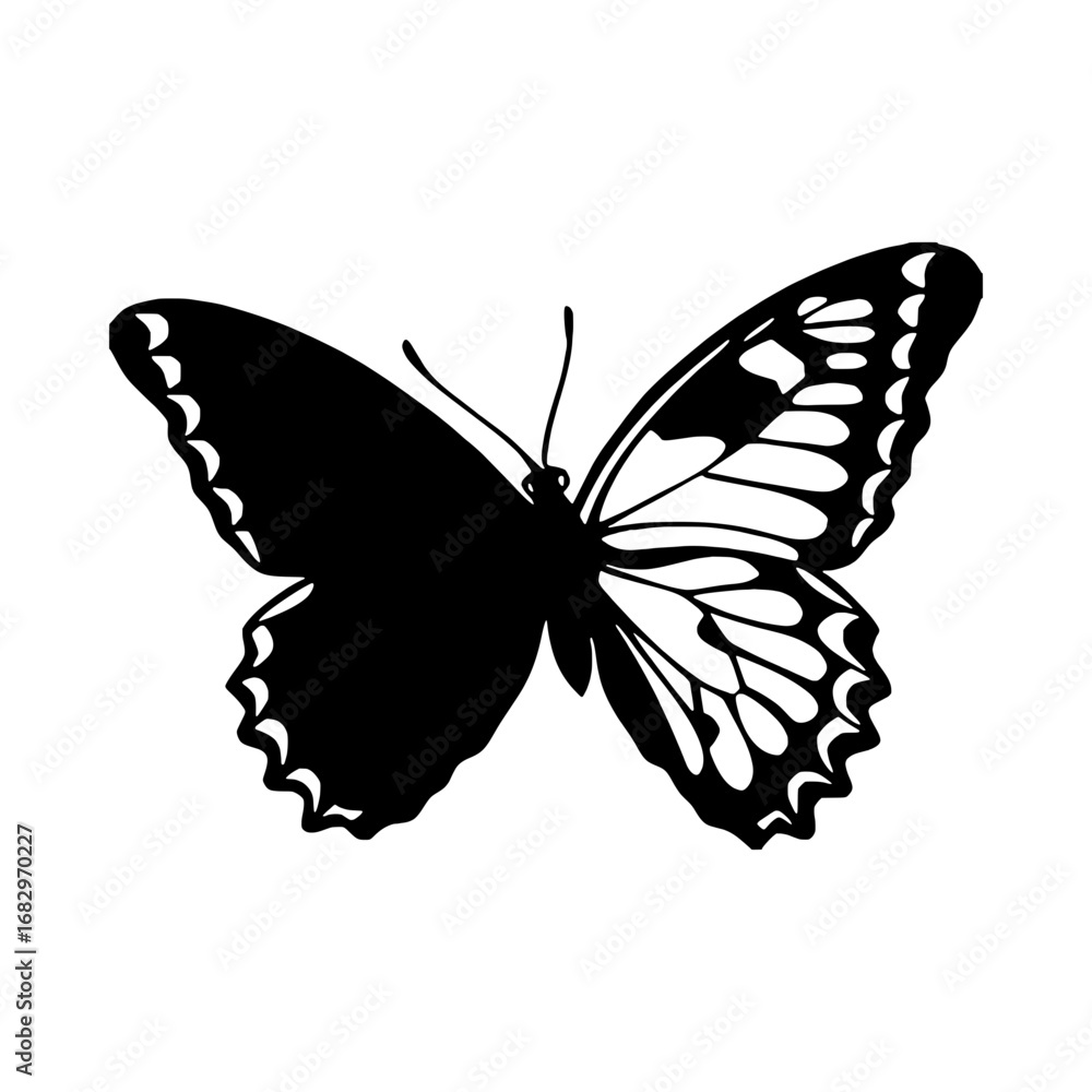 Fototapeta premium Butterfly with half white wing, a beautiful insect with intricate details and delicate patterns in monochrome style