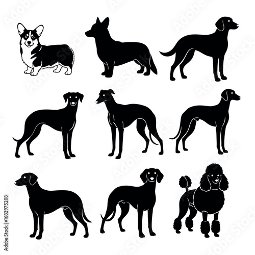 Vector illustration of collection of various dog breeds silhouette