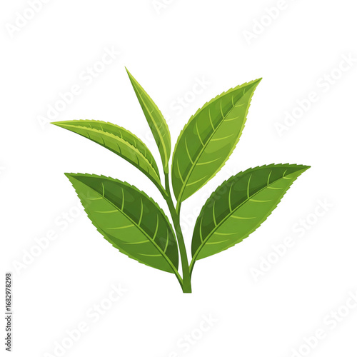 A fresh vector illustration of a green tea leaf sprout, perfect for concepts related to healthy drinks, nature, and organic products.