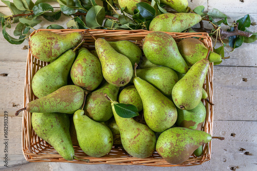 New season conference pears on a rustic background