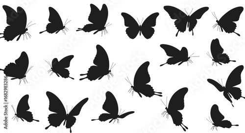 Silhouette collection of butterflies in various poses on white background