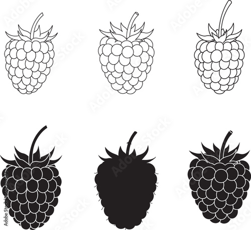 Six stylized illustrations of raspberries showing outline and silhouette variations