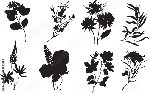 Nature, Plant, Flower, Silhouette, Botanical, Leaf, Garden, Outline, Forest, Eco, Flora, Graphic, Greenery, Organic, Wild, Illustration, Growth, Environment