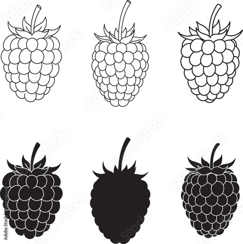 Collection of hand drawn and silhouetted raspberries for artistic design elements