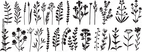 Wildflower, Grass, Silhouettes, Nature, Plant, Botanical, Green, Art, Garden, Outdoors, Field, Flora, Environment, Organic, Natural, Graphic, Growth, Scene