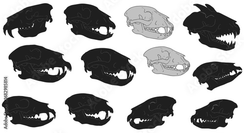 Detailed animal skull set with silhouette and line variations
