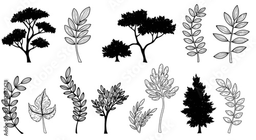 Stylish botanical silhouettes and linear leaves for nature-inspired design projects