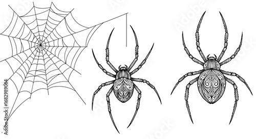 Intricate black and white spider and web design with detailed patterns for tattoo concepts