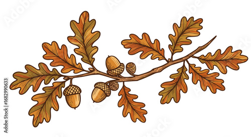 Autumn oak branch with acorns and leaves in hand drawn style