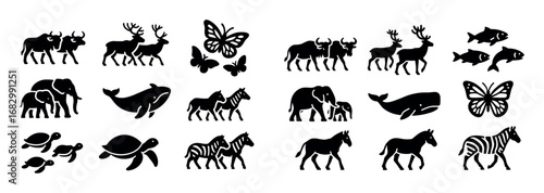 Animal Migration Icons