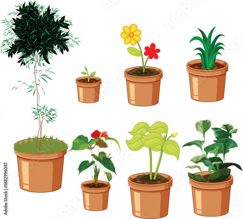 Set of different houseplants in flower pots on white background,Collection of Potted Plants,Collage with different potted plants on white background. House decor