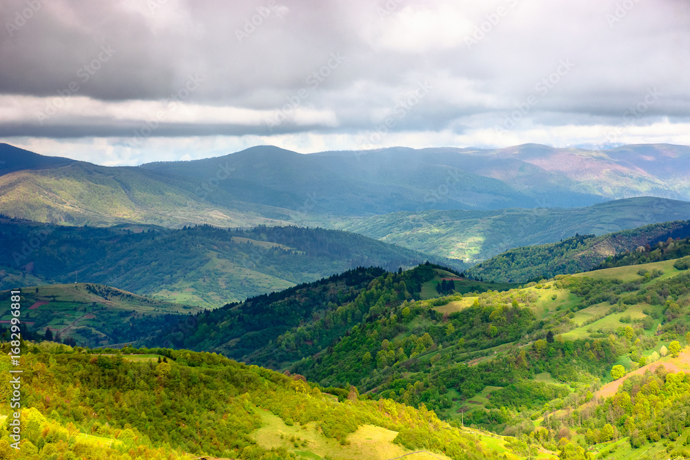 Naklejka premium mountain landscape of ukraine in spring. rolling countryside scenery in dappled light. forest in lush green foliage on a hill under cloudy sky. scenic view in to the distant valley of mizhhirya region