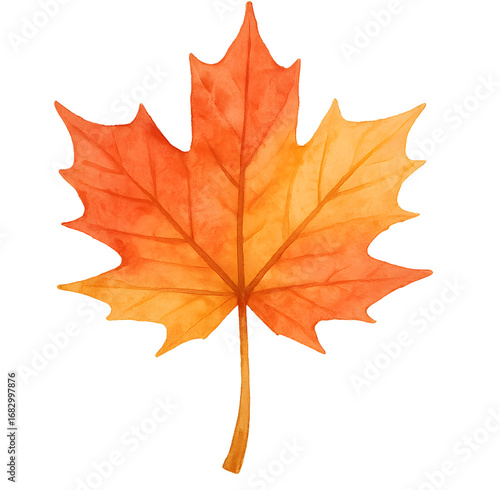 Wallpaper Mural Maple leaf watercolor PNG transparent background autumn tree cut out Torontodigital.ca