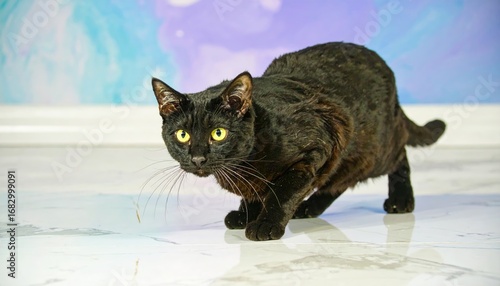 Sleek black cat with bright yellow eyes on a marbled surface, poised and alert against a colorful, swirly backdrop