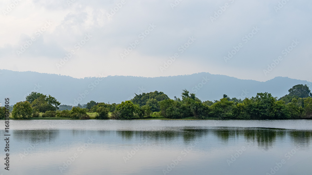 Fototapeta premium lake, forest and mountains